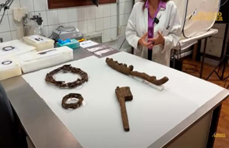 Revealing a 3,300-Year-Old Wooden Yoke: A Restoration Journey