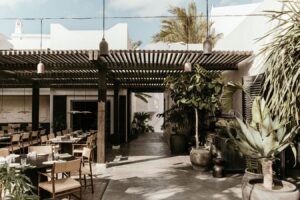 Discovering Nōema: A Fusion of Tradition and Innovation